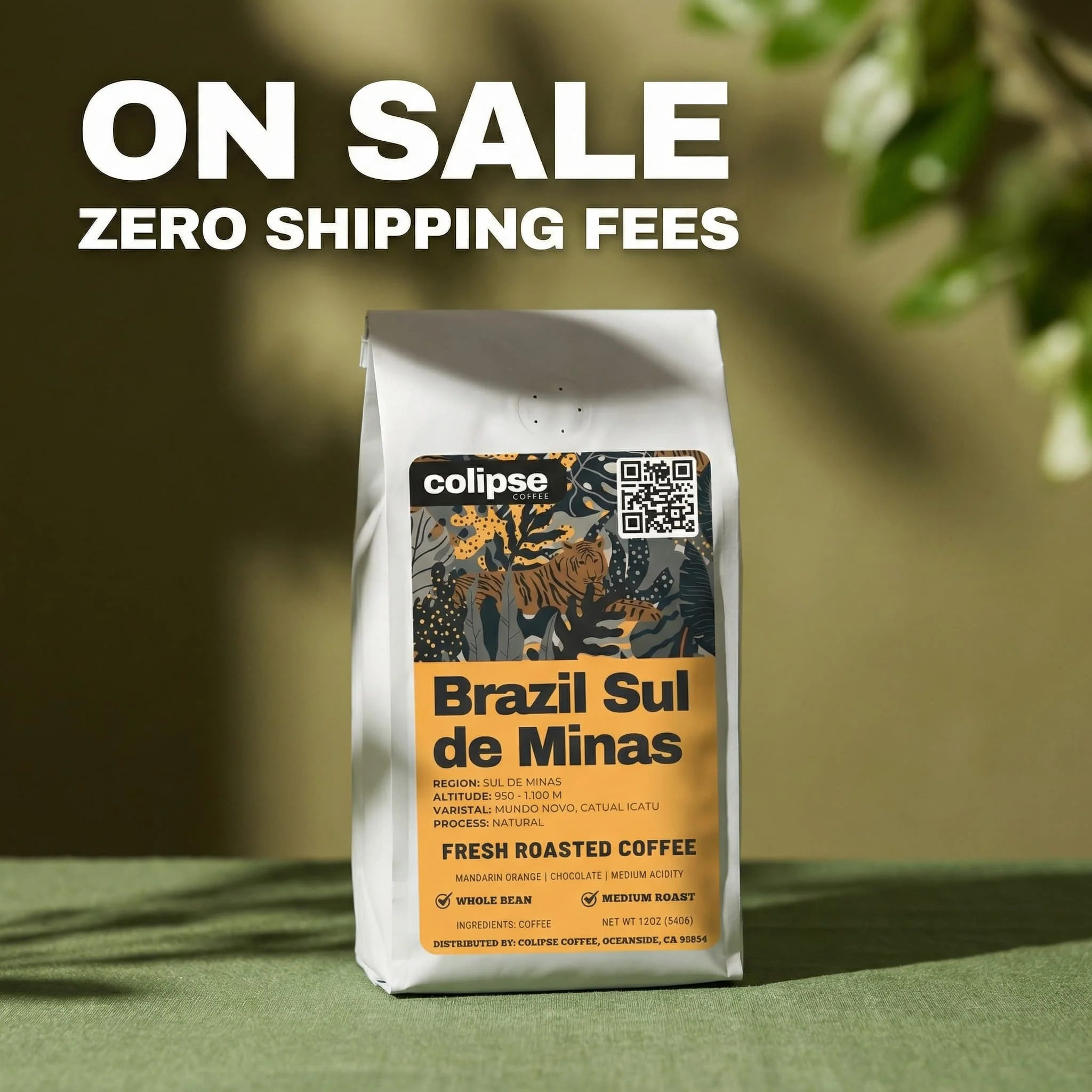 Brazil Sul de Minas Coffee Beans - Image 12