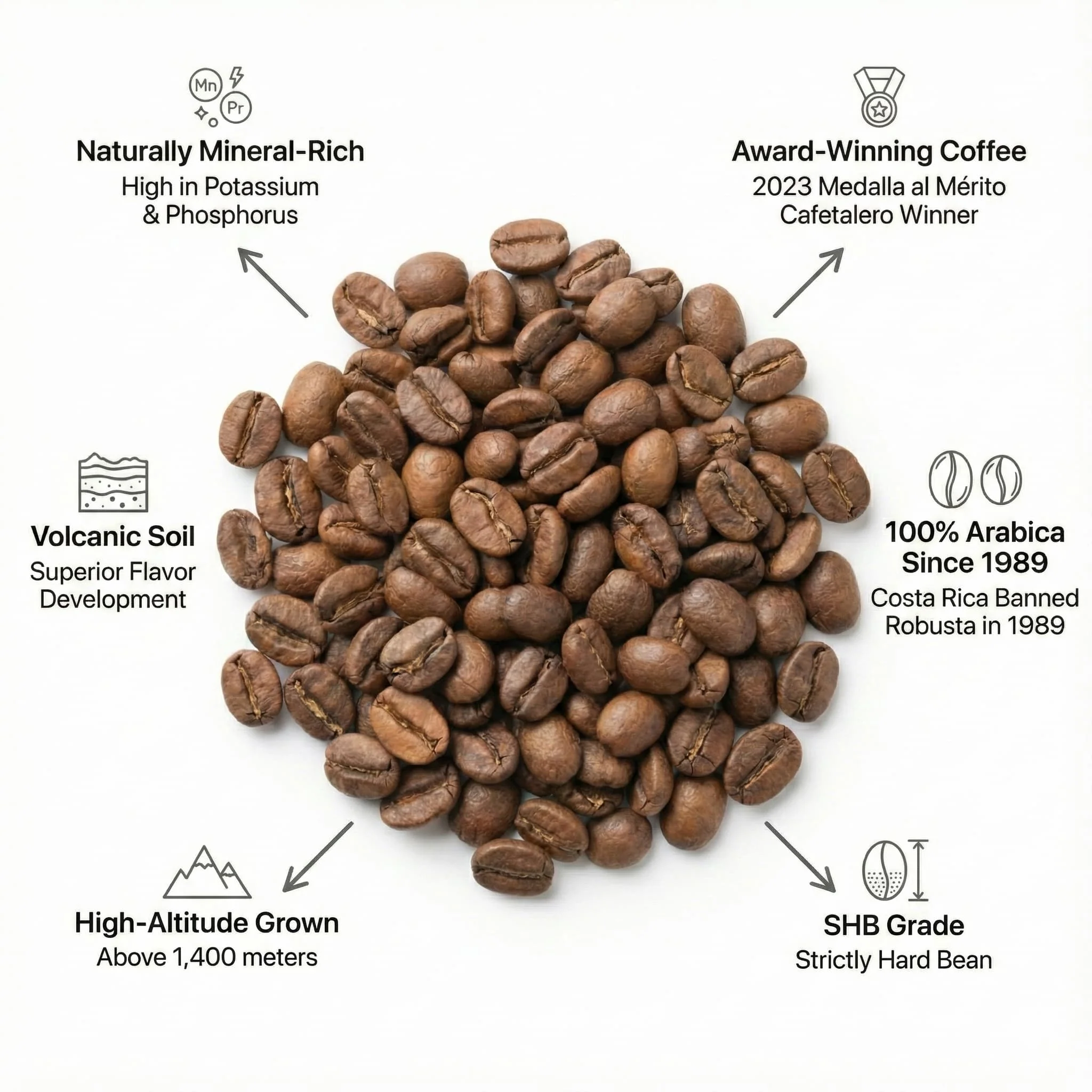 Costa Rica Coffee Beans - Image 11